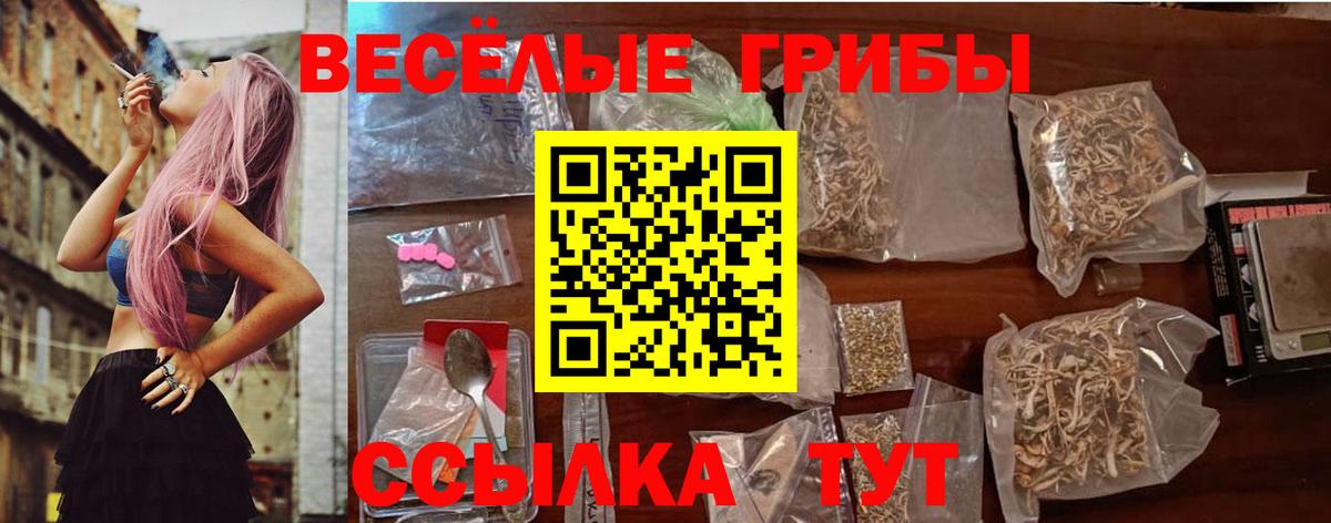 Галлюциногенные грибы Psilocybine cubensis  Галлюциногенные грибы Psilocybe  Истра  Вход с VPN 